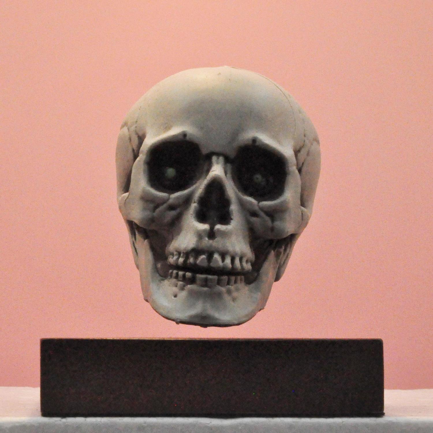 Magnetic Levitation Scull