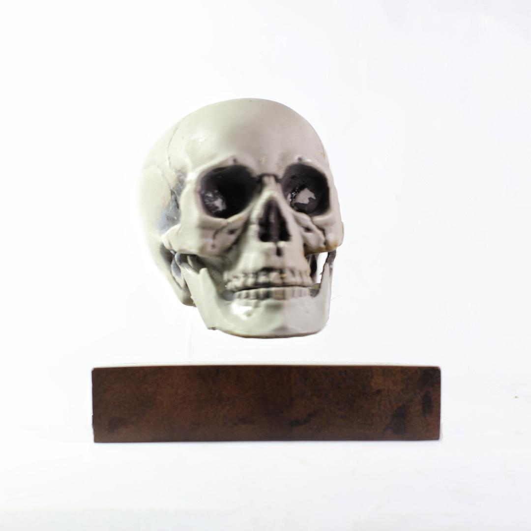 Magnetic Levitation Scull